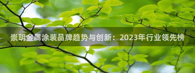 美狮美高梅和美高梅有什么区别:崇明金属涂 美狮美高梅和美高梅有什么区别:崇明金属涂