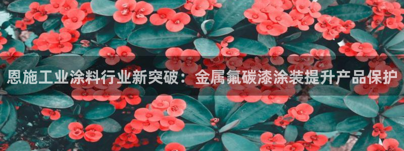 美高梅老板何超琼:恩施工业涂料行业新突破 美高梅老板何超琼:恩施工业涂料行业新突破